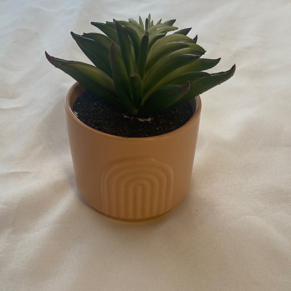 Artificial Succulent in Tan Pot